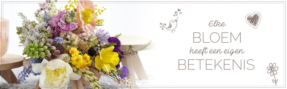 Betekenis van Bloemen Bloomgift Bloomgift