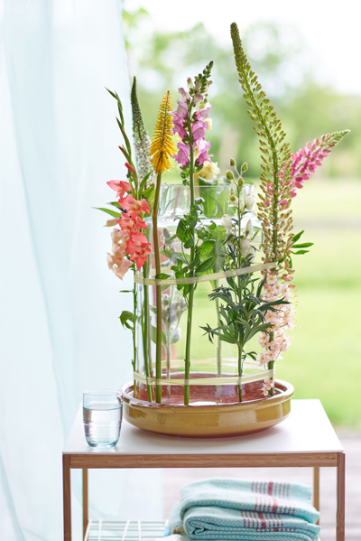 Eremurus zomerbloemen