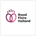 Logo Royal FloraHolland