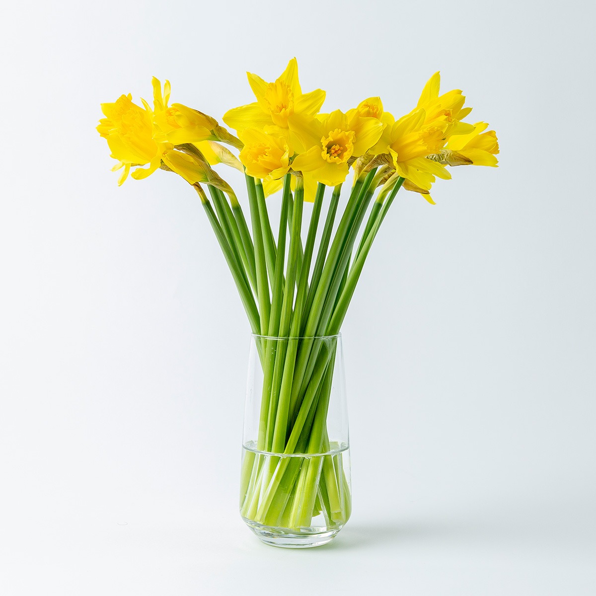 Narcissen in vaas