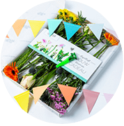 Brievenbusbloemen Party Mix