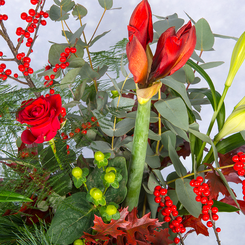 Kerstbloemen ingezoomd