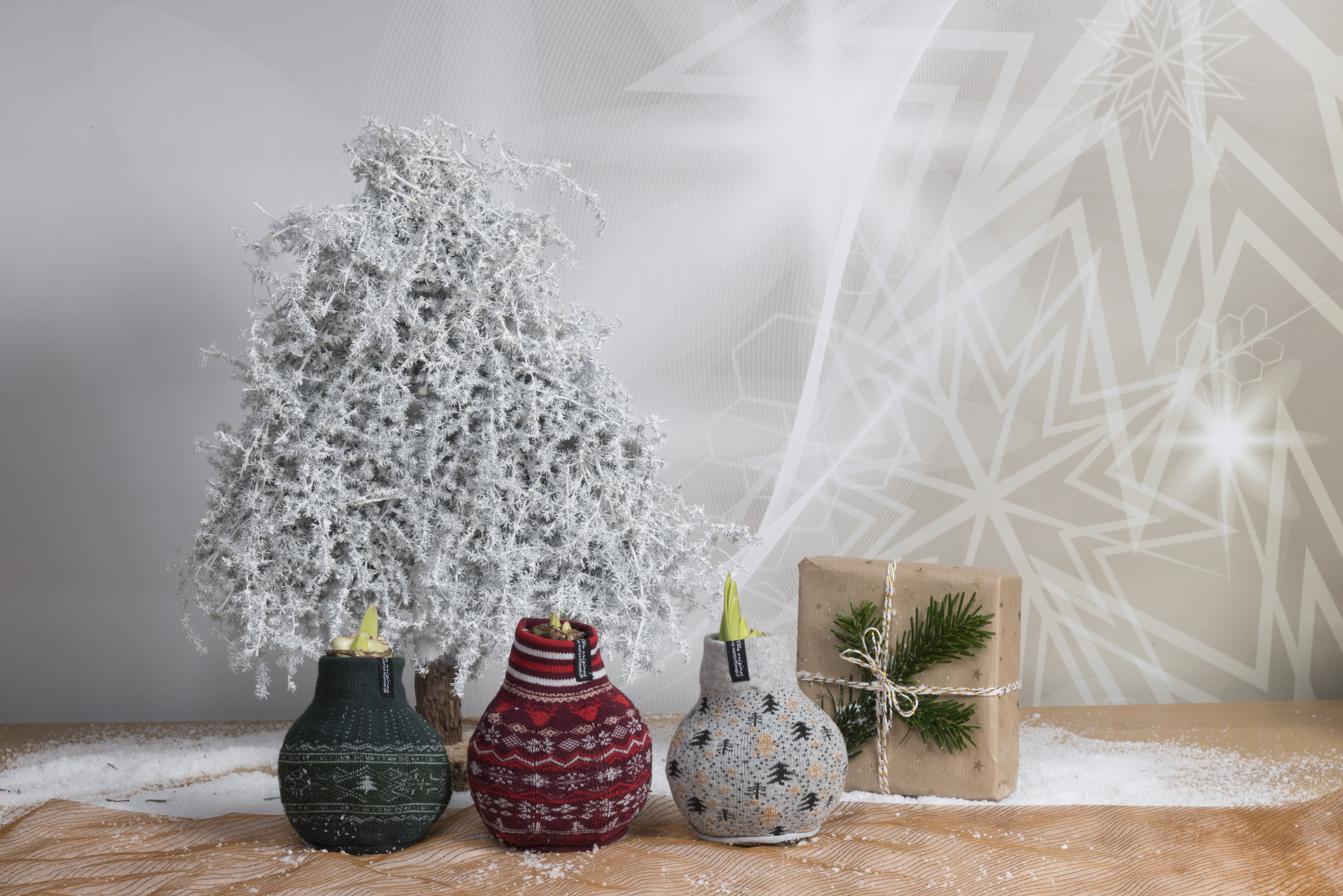 BloomGift kerstcadeaus en kerstbloemen