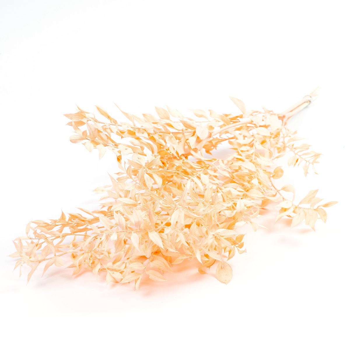 Droogbloemen geverfd