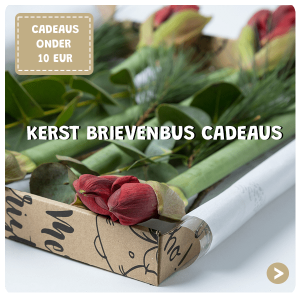 Kerst brievenbus cadeaus 