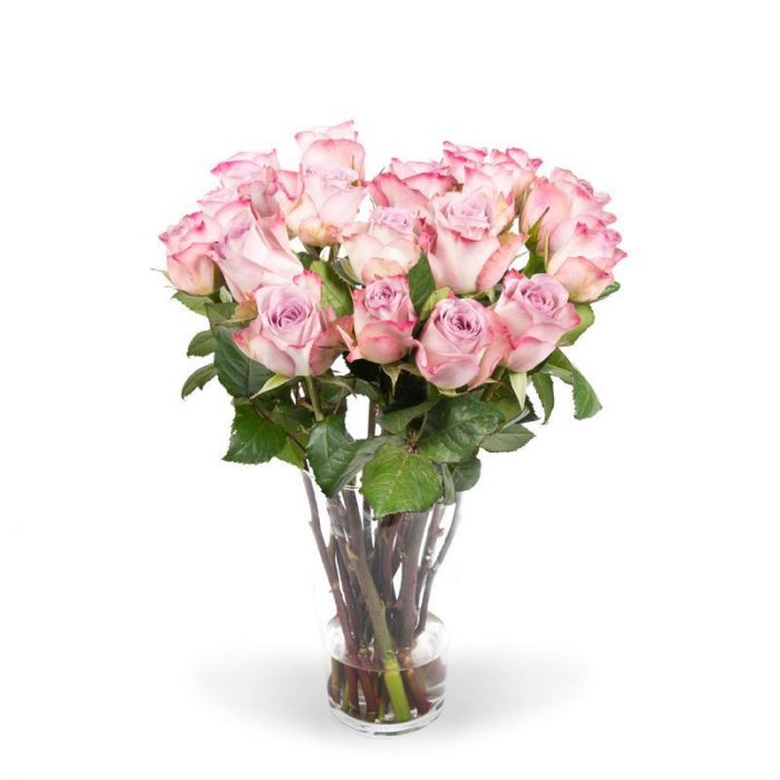 beroemd doel borduurwerk Paarse rozen bestellen? Bloomgift.nl