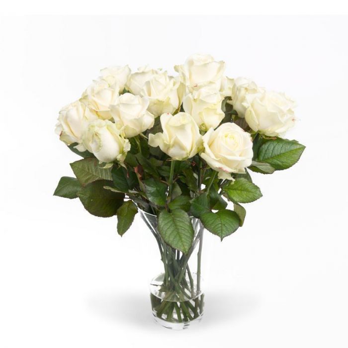 Adviseren klep Relatief Witte rozen bestellen en laten bezorgen? Bloomgift.nl