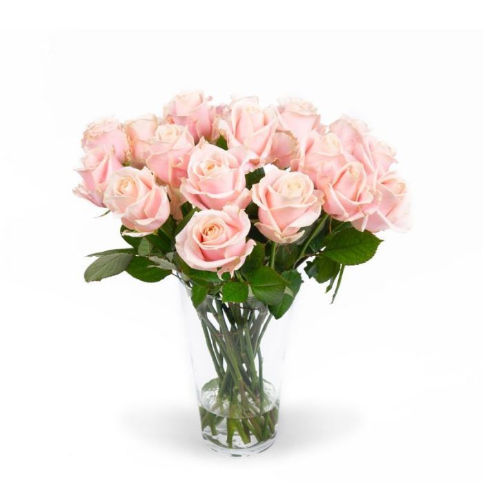 Superioriteit springen Ideaal Roze rozen bestellen en vandaag laten bezorgen