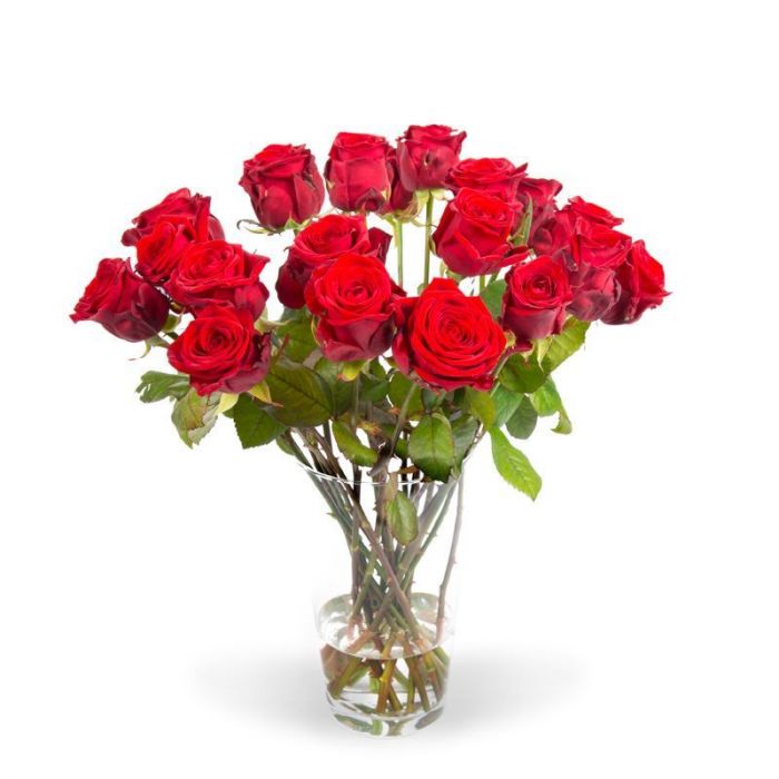 Narabar selecteer Toerist Bos rode rozen bestellen en vandaag bezorgen