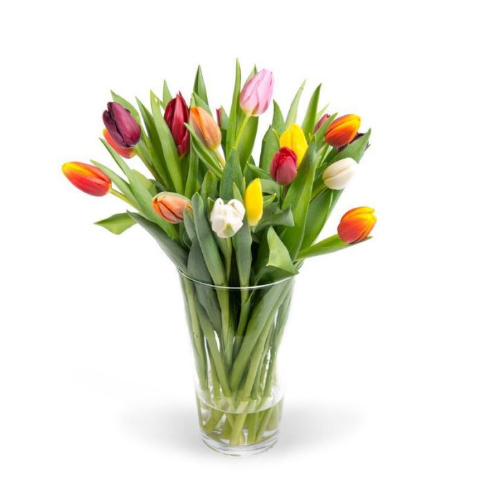 Gemengde tulpen (incl. vaas) | Bloomgift.nl