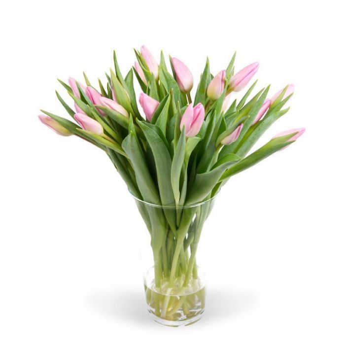 Iemand verrassen met een mooie bos roze Tulpen