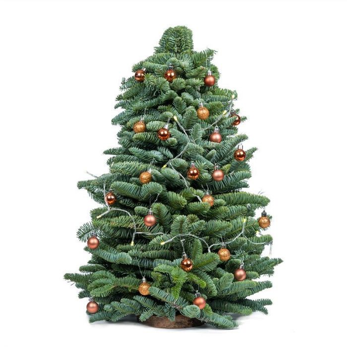 Versierde Kerstboompje met verlichting bestellen? Kerstcadeau