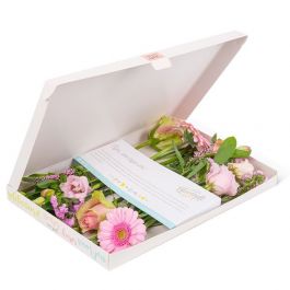 abortus Bouwen mengen Roze bloemen bezorgen | Brievenbusbloemen | Bloomgift