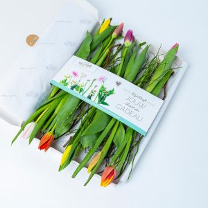 Brievenbus tulpenboeketje gemengd