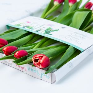 Rode brievenbus tulpen