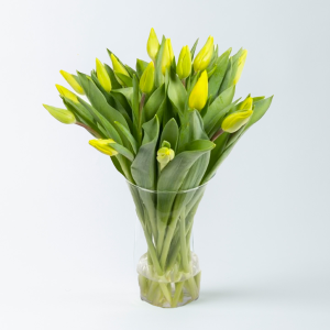 Bos gele tulpen in een vaas