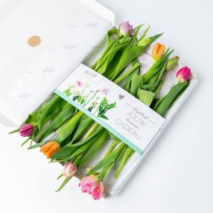 Brievenbus tulpenboeketje gemengd