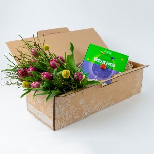 Paars Tulpenboeket + Milka Giftbox