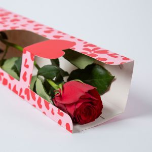 Rode roos in mooie valentijn draagtas