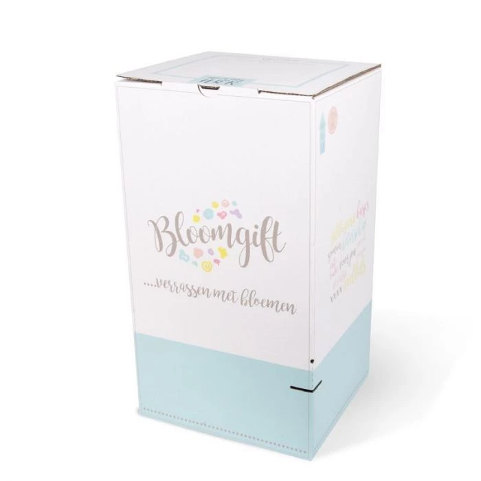 Verpakkingsdoos voor 11oz Mok – Wit – BSB Shop