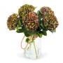 Doorgekleurde Hortensia's in vaas (modelfoto)