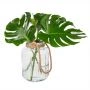 Monstera bladeren