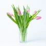 Roze Tulpen