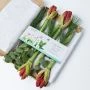 Amaryllis brievenbus boeket per post