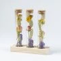 Brievenbus droogbloemen: Message in a bottle Multi modelfoto
