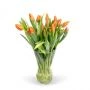 Oranje tulpen