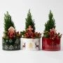 Picea kerstcreatie inclusief kerstpot