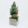  Picea kerstcreatie