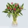 Rood tulpenboeket met groene skimmia's