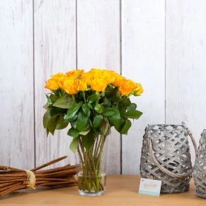 Oranje rozen