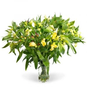 Gemengde Alstroemeria (15st)