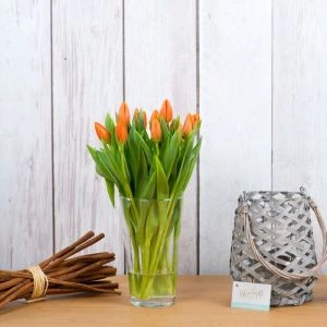 Oranje Tulpen