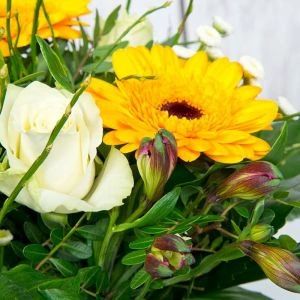 Boeket Little Spring