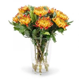 Tom Pearce gevulde chrysanten in vaas