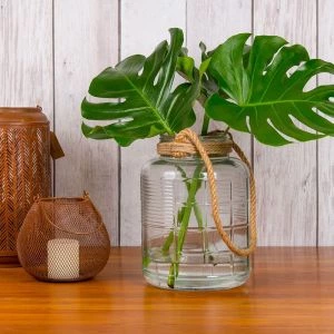 Monstera bladeren