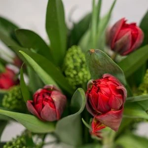Boeket Rode Tulpen 
