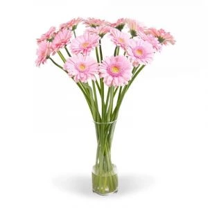 Brievenbus Gerbera's Roze - VDA