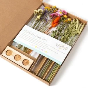 Gemengde droogbloemen in brievenbusverpakking met vaasjes en houten standaard