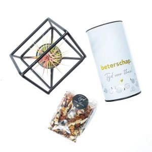 Metalen Huisje + Airplant