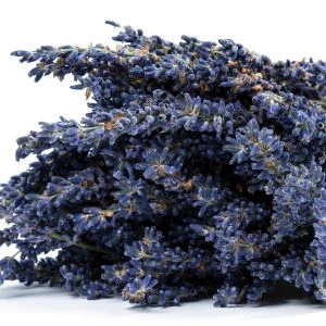 Bos gedroogde Lavendel (100gr)