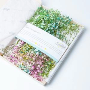 Gipskruid pastel kleuren in brievenbus verpakking