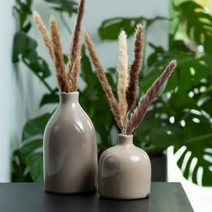 Brievenbus Droogbloemen Pampas