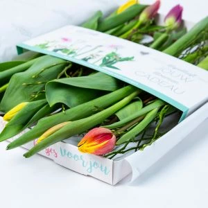 Brievenbus Tulpenboeket
