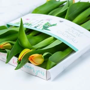 Oranje brievenbus tulpen