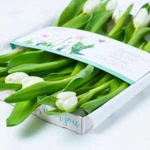 Witte brievenbustulpen