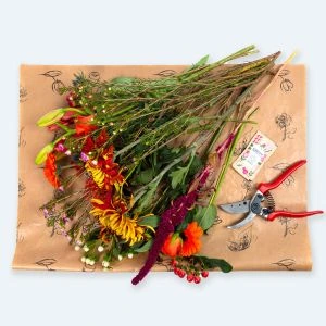 DIY pakket met herfstbloemen, snoeischaar en vaas